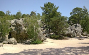 Dame Jouanne