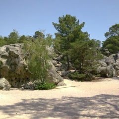 Gâtinais Français Regional Natural Park