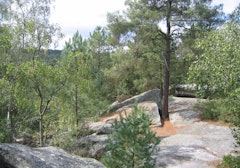 Gorges de Franchard