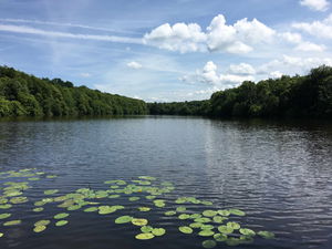 Traversée de la forêt de Chantilly
