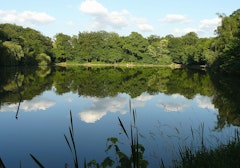Étangs de Meudon