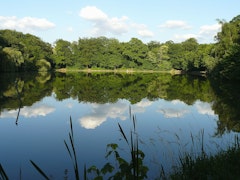 Étangs de Meudon
