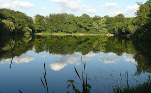 Étangs de Meudon
