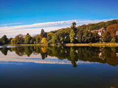 Forêt de Fausses-Reposes