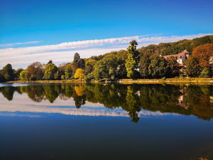 Forêt de Fausses-Reposes