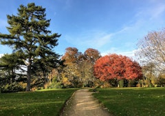 Parc de Saint-Cloud
