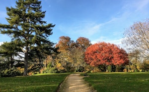 Parc de Saint-Cloud