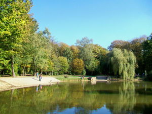Forêt de Montmorency