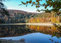 Lac Lauch
