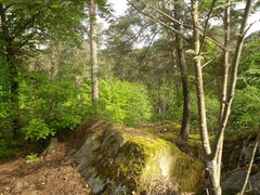Promenade des Points de Vue