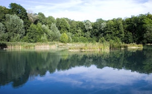Forêt de Carnelle
