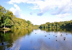Forêt de Coye