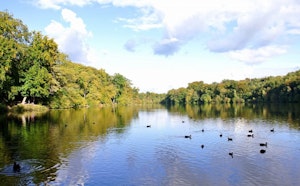 Forêt de Coye