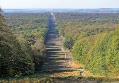 Forêt de Compiègne