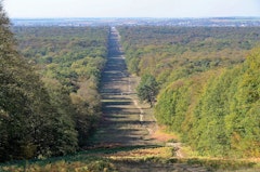 Forêt de Compiègne
