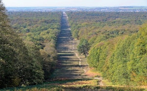 Forêt de Compiègne