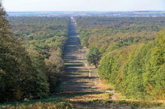 Forêt de Compiègne