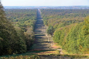 Forêt de Compiègne