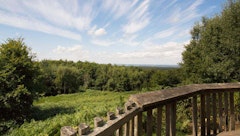 Forêt de Halatte