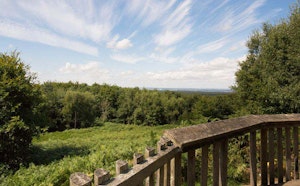 Forêt de Halatte