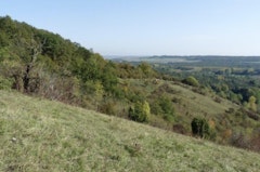 Hillside of Giverny