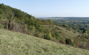 Hillside of Giverny