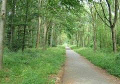 From Saint-Germain to Maisons-Laffitte