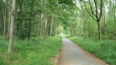 From Saint-Germain to Maisons-Laffitte