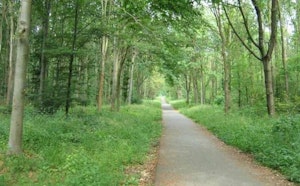 From Saint-Germain to Maisons-Laffitte
