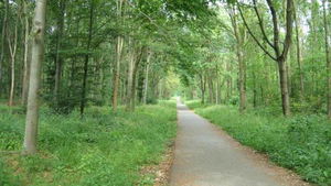 De Saint-Germain à Maisons-Laffitte