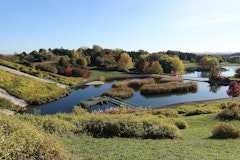 Parc Georges-Valbon