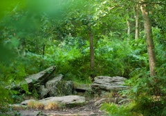 Landes de Gurwant