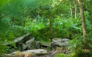 Landes de Gurwant