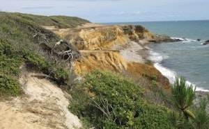 Pointe du Payré