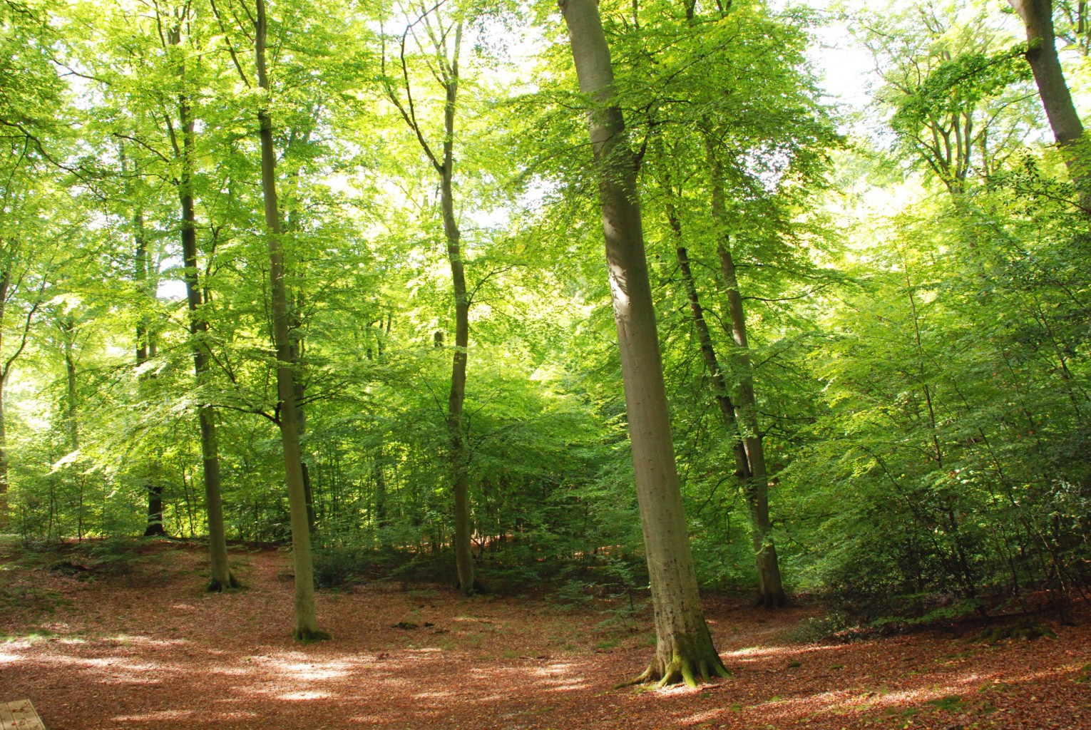 Parc Naturel Régional Des Boucles De La Seine Normande Parc naturel régional des Boucles de la Seine normande : les meilleures