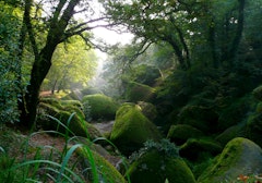 Long Walk in Forêt d'Huelgoat