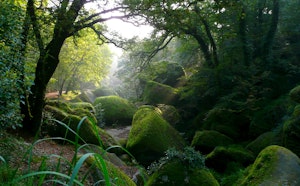 Long Walk in Forêt d'Huelgoat