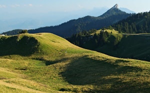 Pinéa and Charmant Som