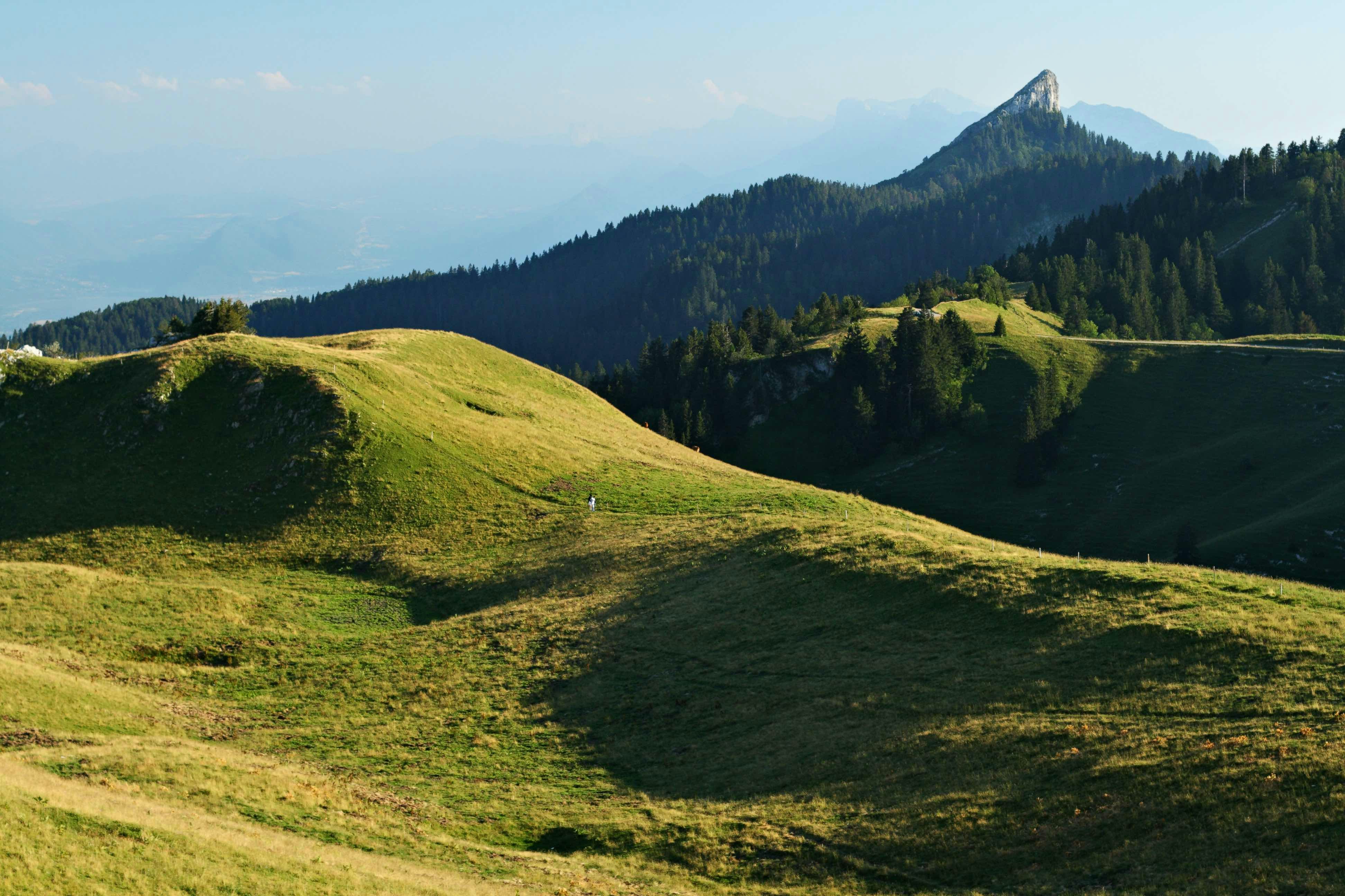 Pinéa et Charmant Som