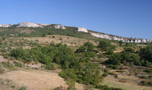 Dent de Rez