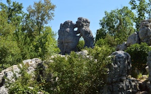 Bois de Païolive