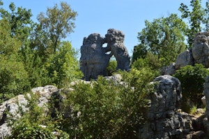 Bois de Païolive