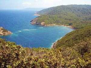 Est de Port-Cros