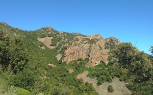 Mont Vinaigre