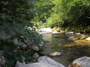 Gorges de la Siagne