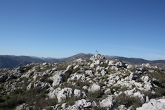 Mouton d'Anou