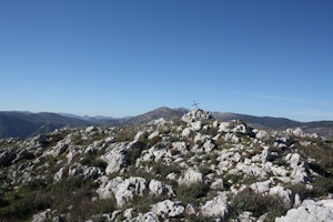 Mouton d'Anou