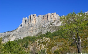 Cadières de Brandis