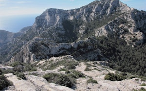 Sommet du Marseilleveyre
