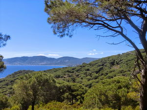 Caps Lardier et Taillat